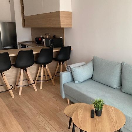 Rakowicka Modern Apartment Cracovie Extérieur photo