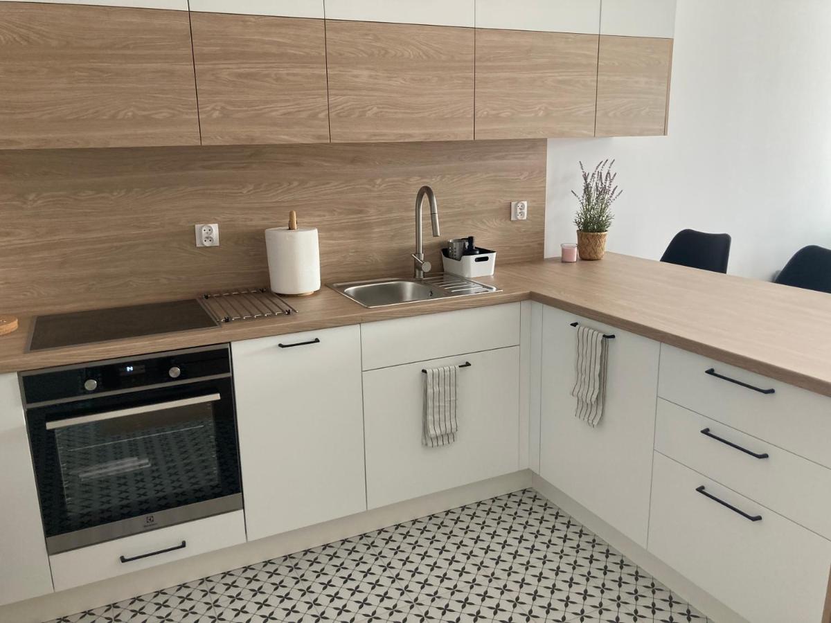Rakowicka Modern Apartment Cracovie Extérieur photo